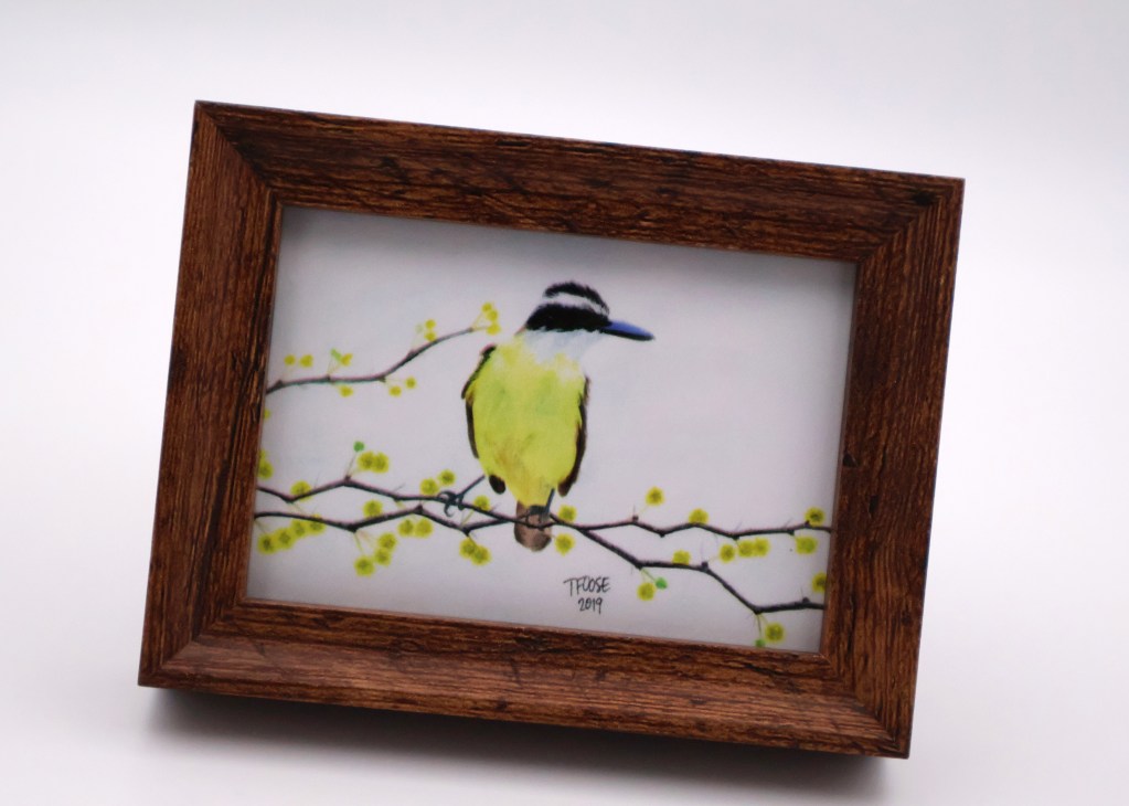 Great Kiskadee Mini Print