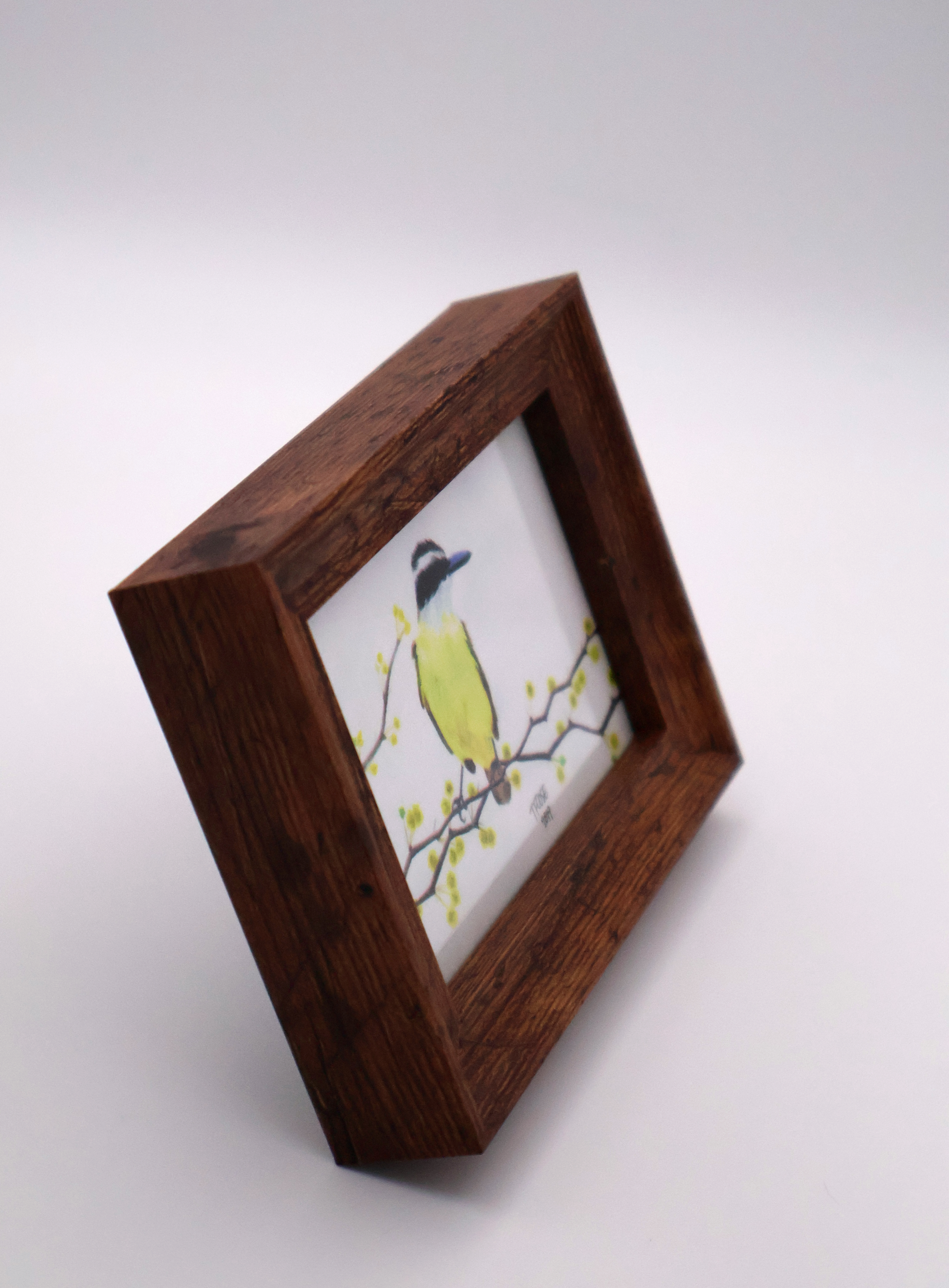Great Kiskadee Mini Print - Image 2