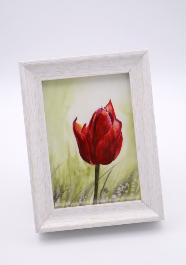 Mini Print - "Red Tulip in Bloom"