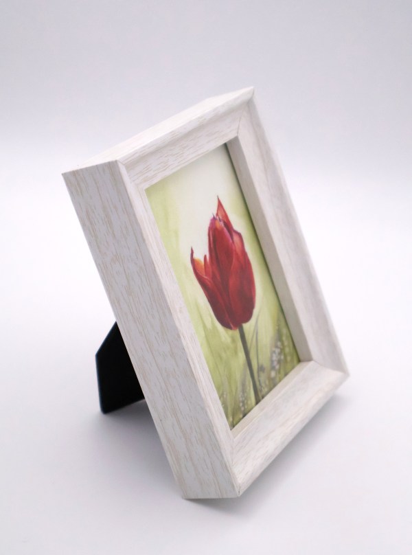 Mini Print - "Red Tulip in Bloom"
