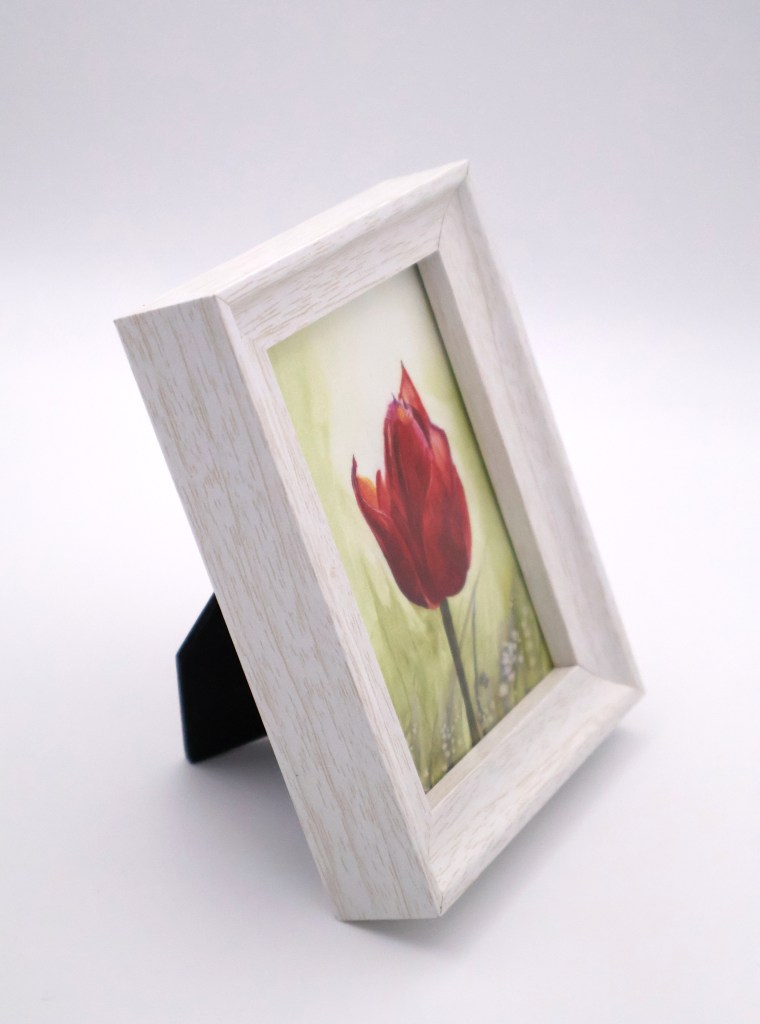 Red Tulip in Bloom Mini Print