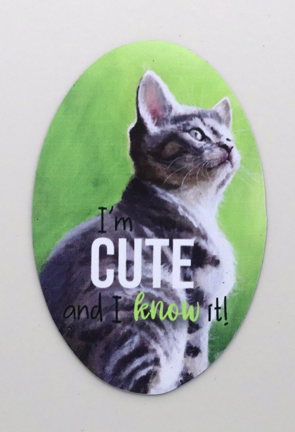 I'm Cute and I Know It Magnet