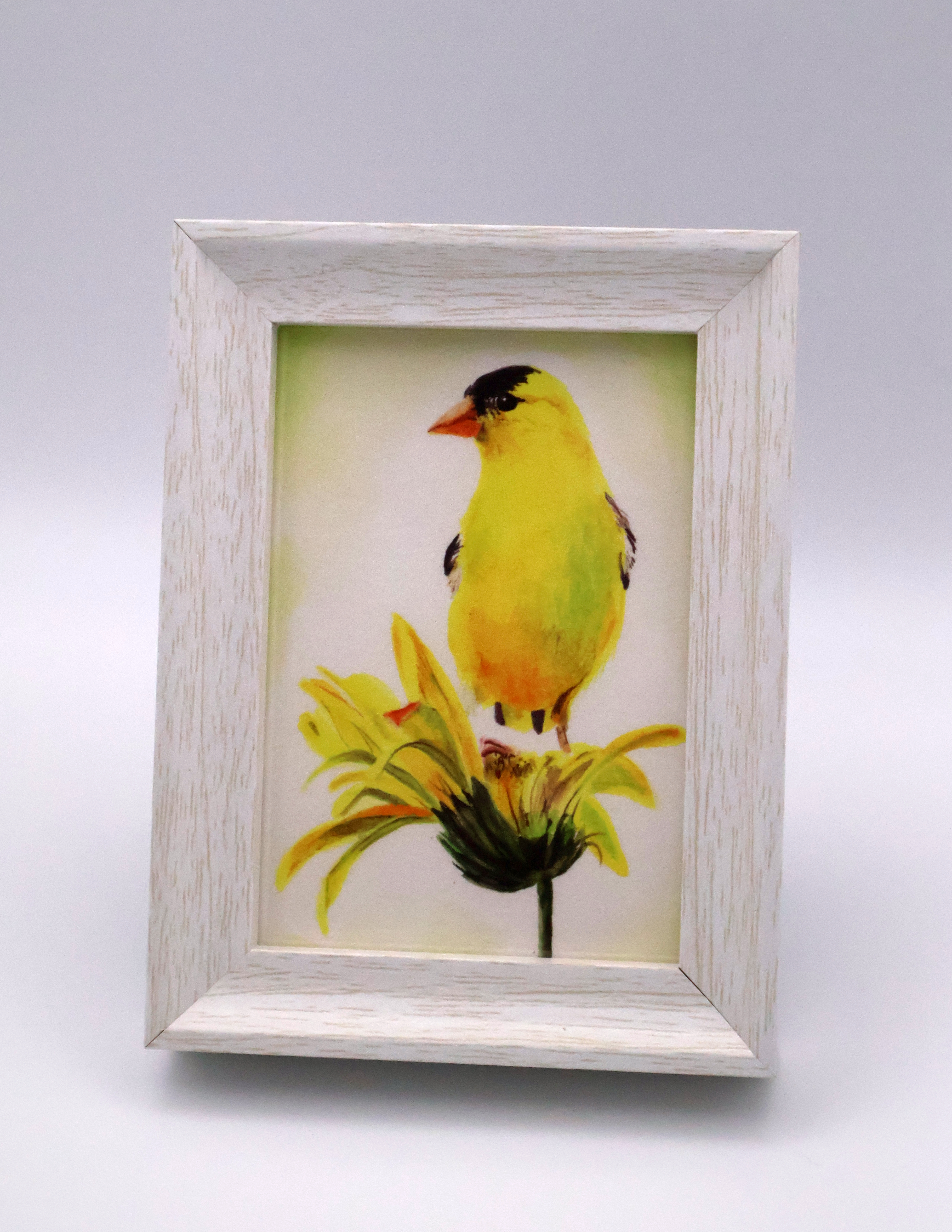 Mini Print - "Yellow on Yellow - Goldfinch" - Image 1