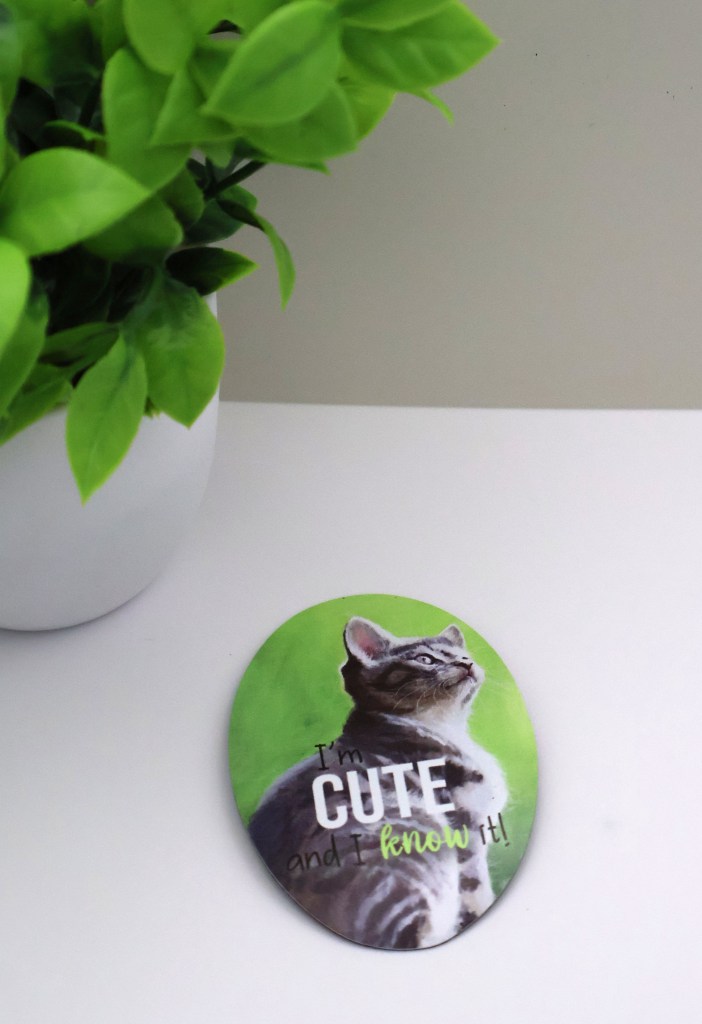 I'm Cute and I Know It Magnet