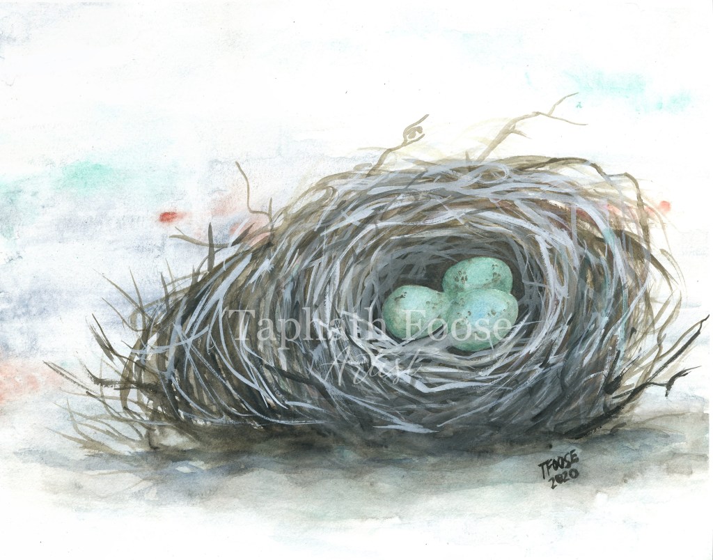A Bird's Nest