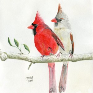 "Cardinal Pair"