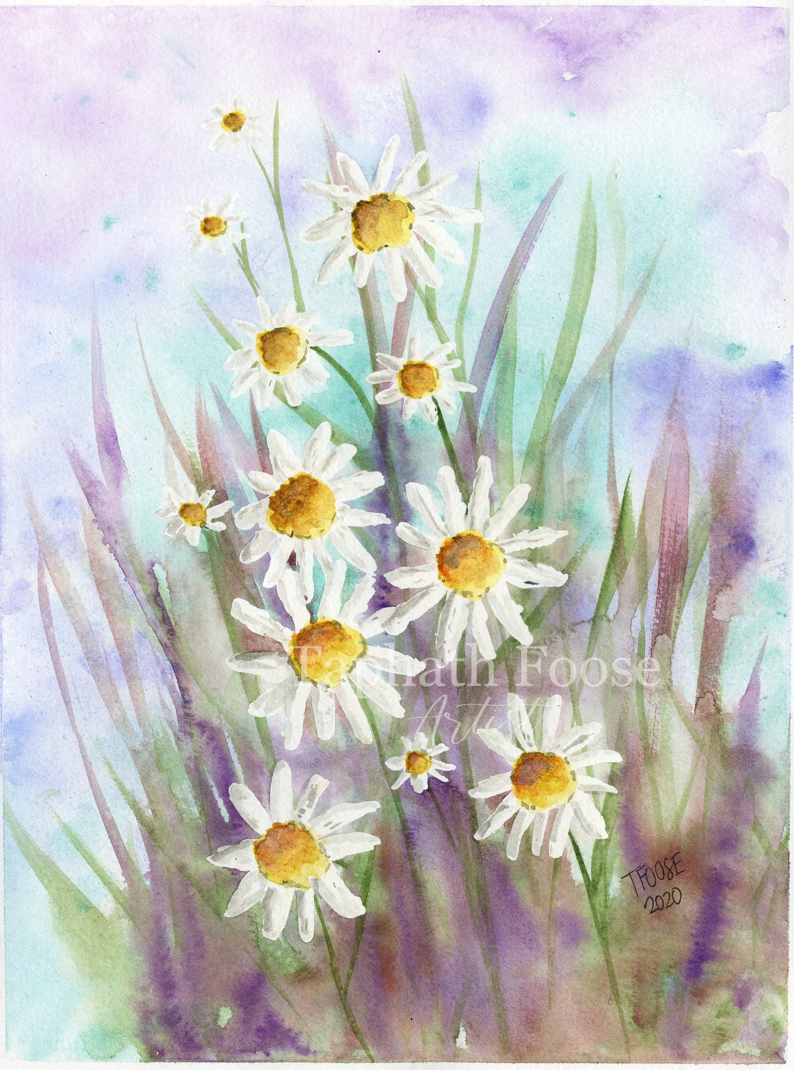 Daisies 1 - Image 1