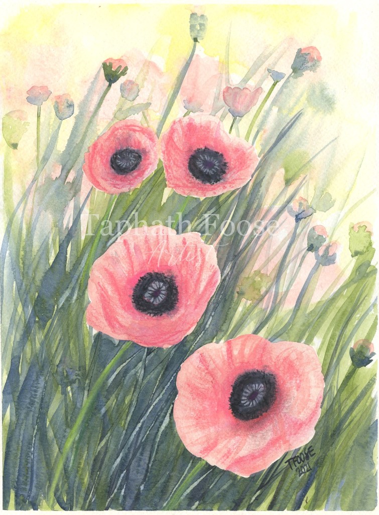 Exuberant Pink Poppies