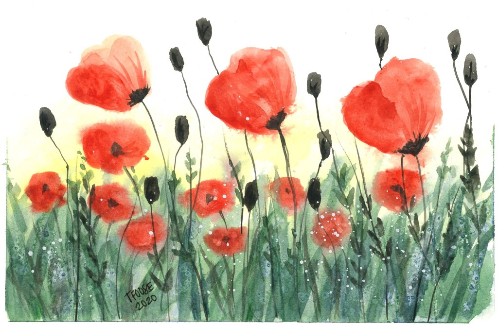 Field of Poppies