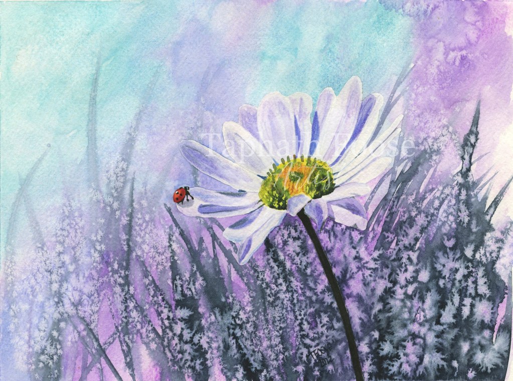Ladybug on a Flower