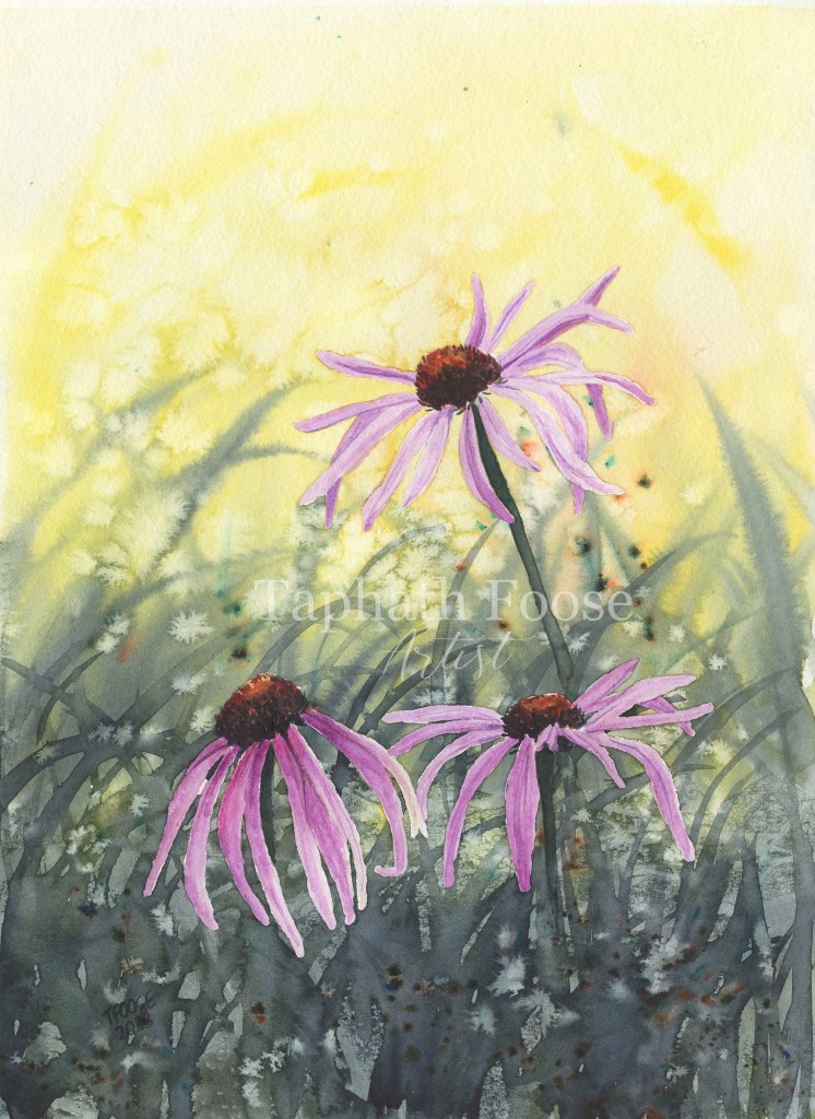Magnus Coneflowers