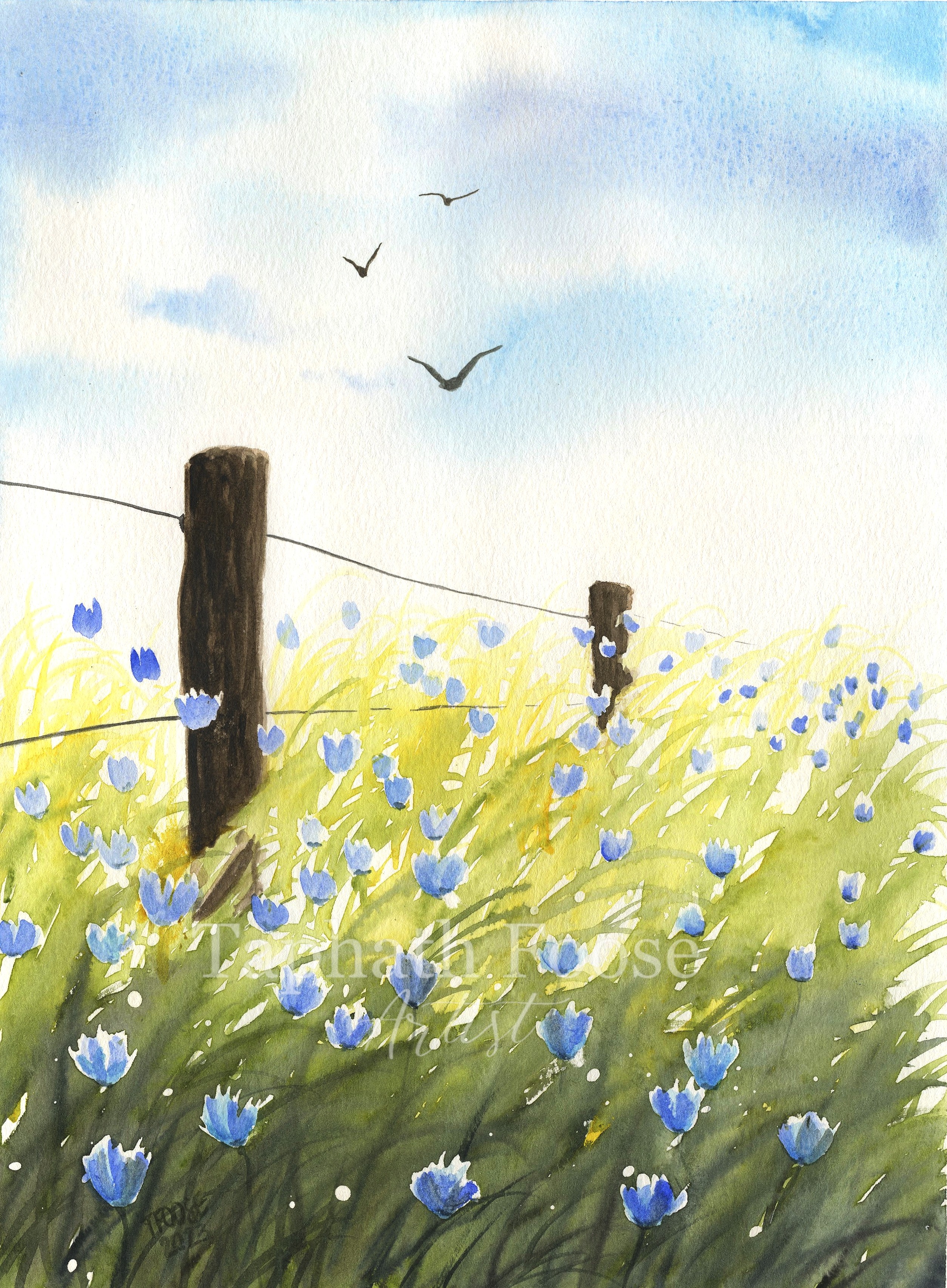 Peaceful Meadow - Image 1