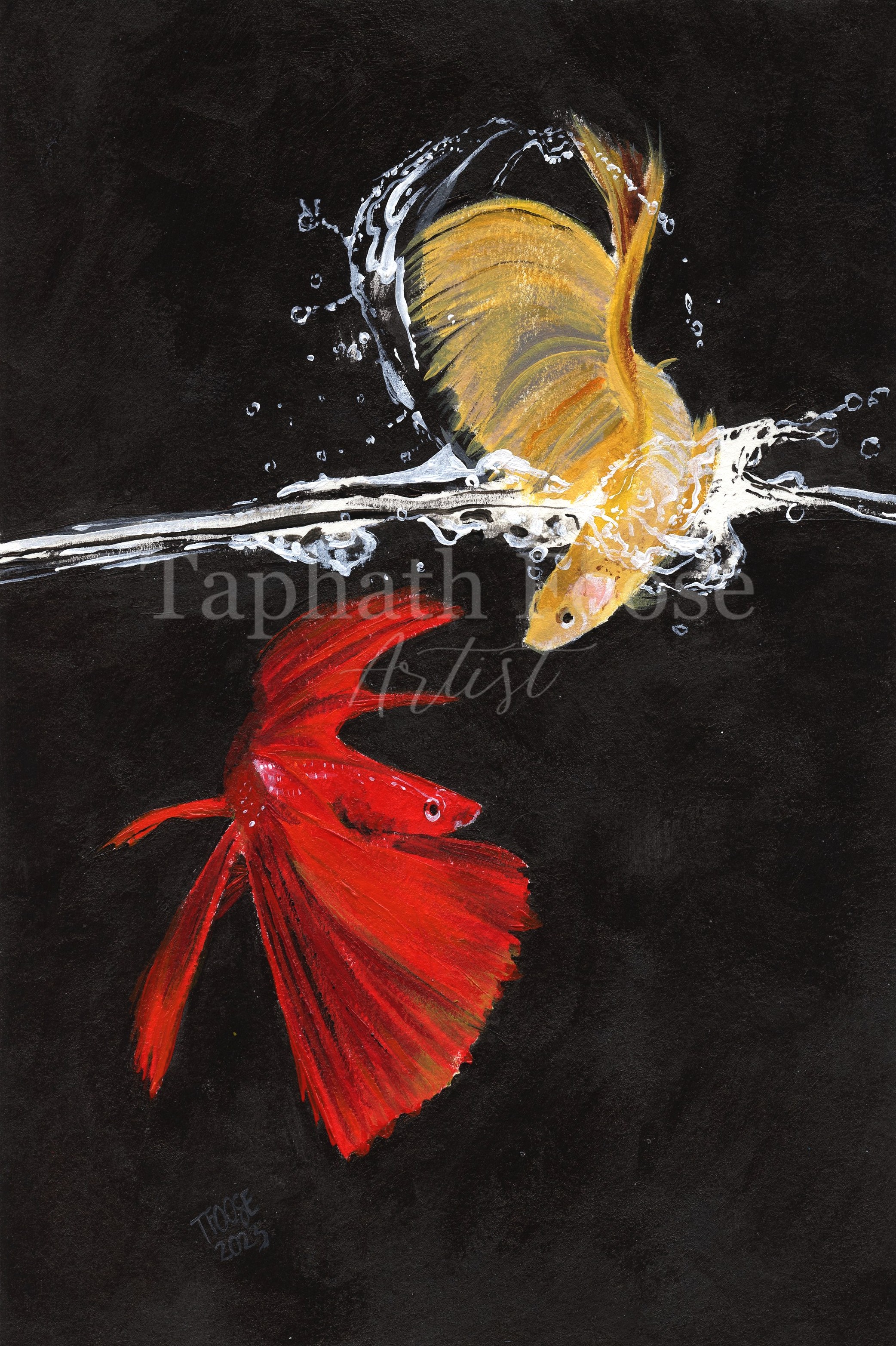 Playful Bettas - Image 1