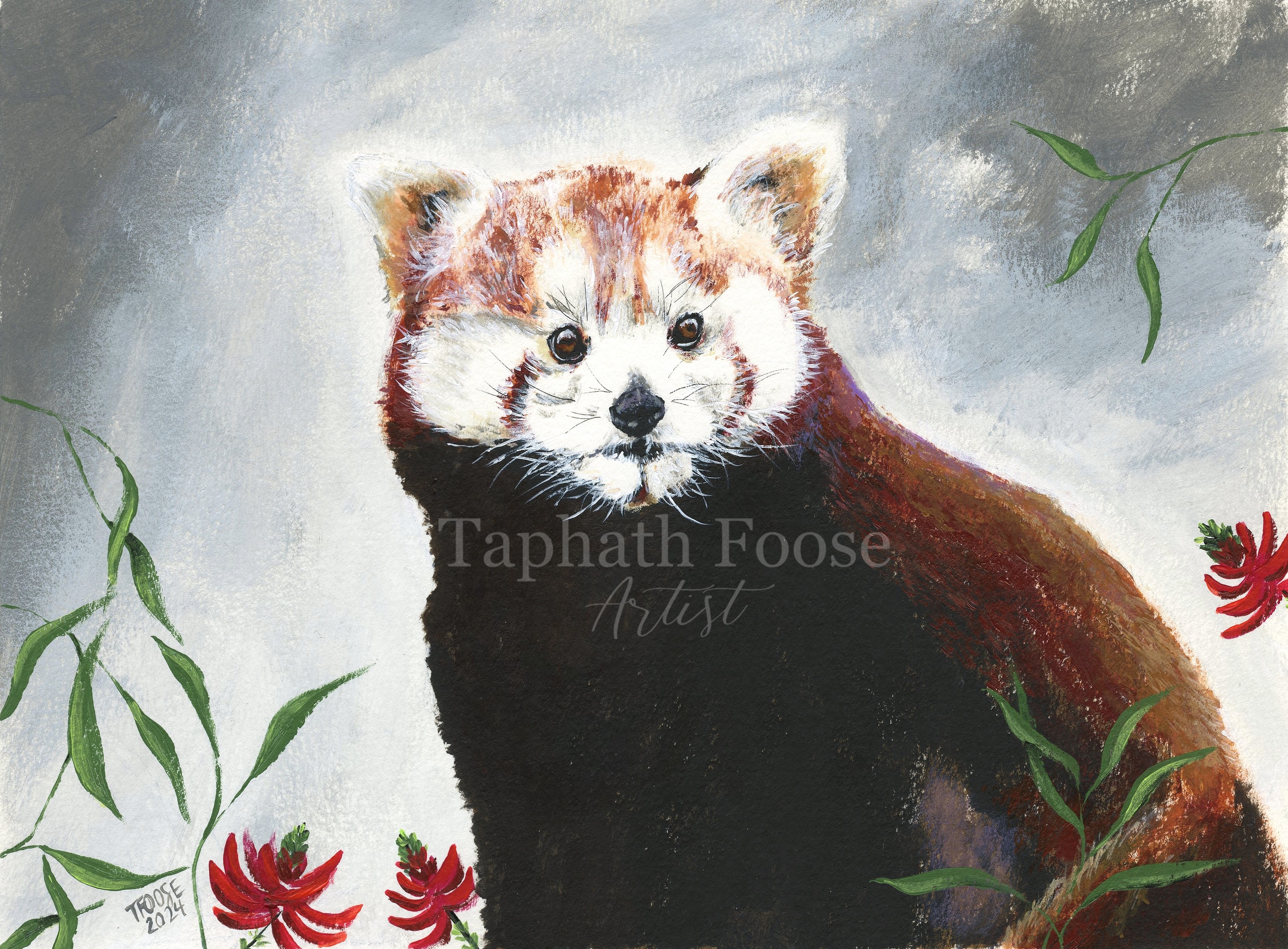Red Panda - Image 1