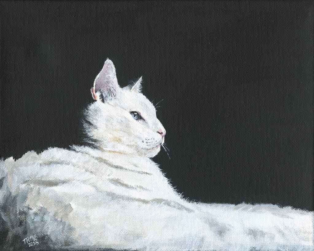 Resting White Cat