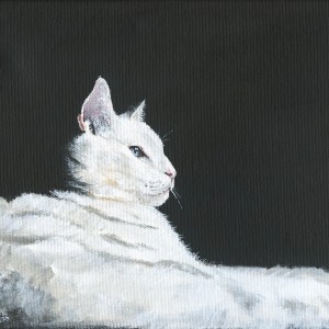Resting White Cat