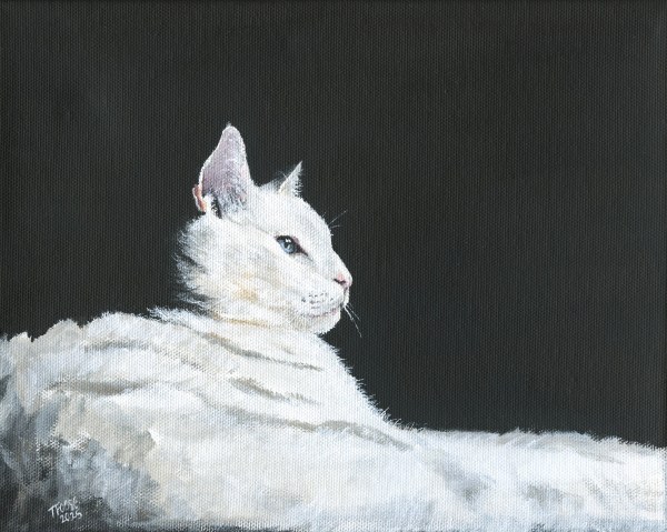 Resting White Cat
