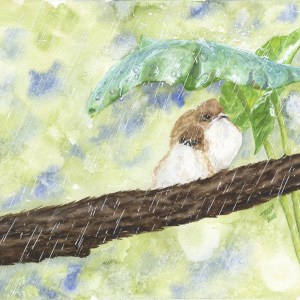 Shelter in the Storm