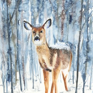 Snow, Oh Deer