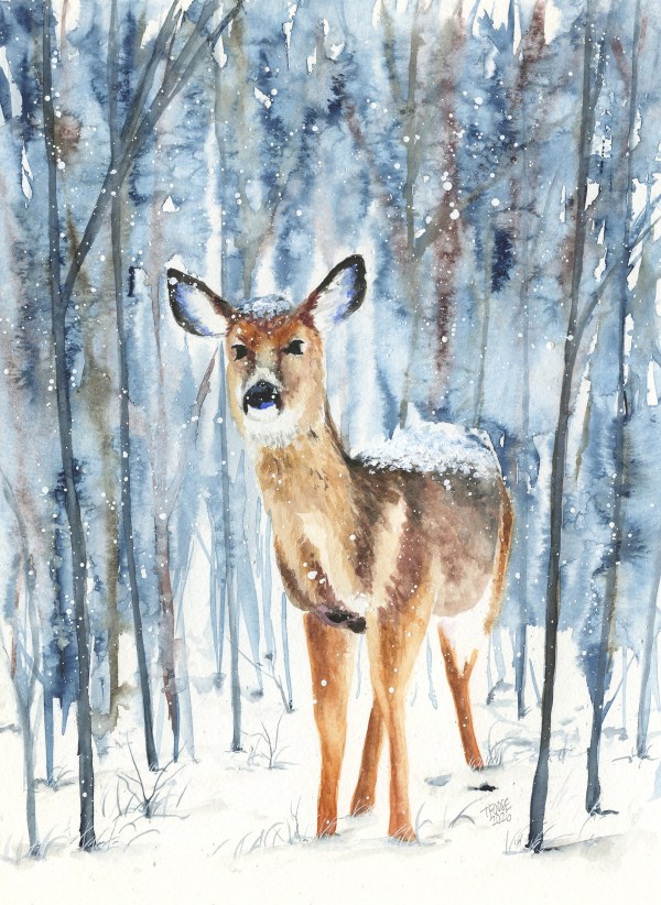 Snow, Oh Deer