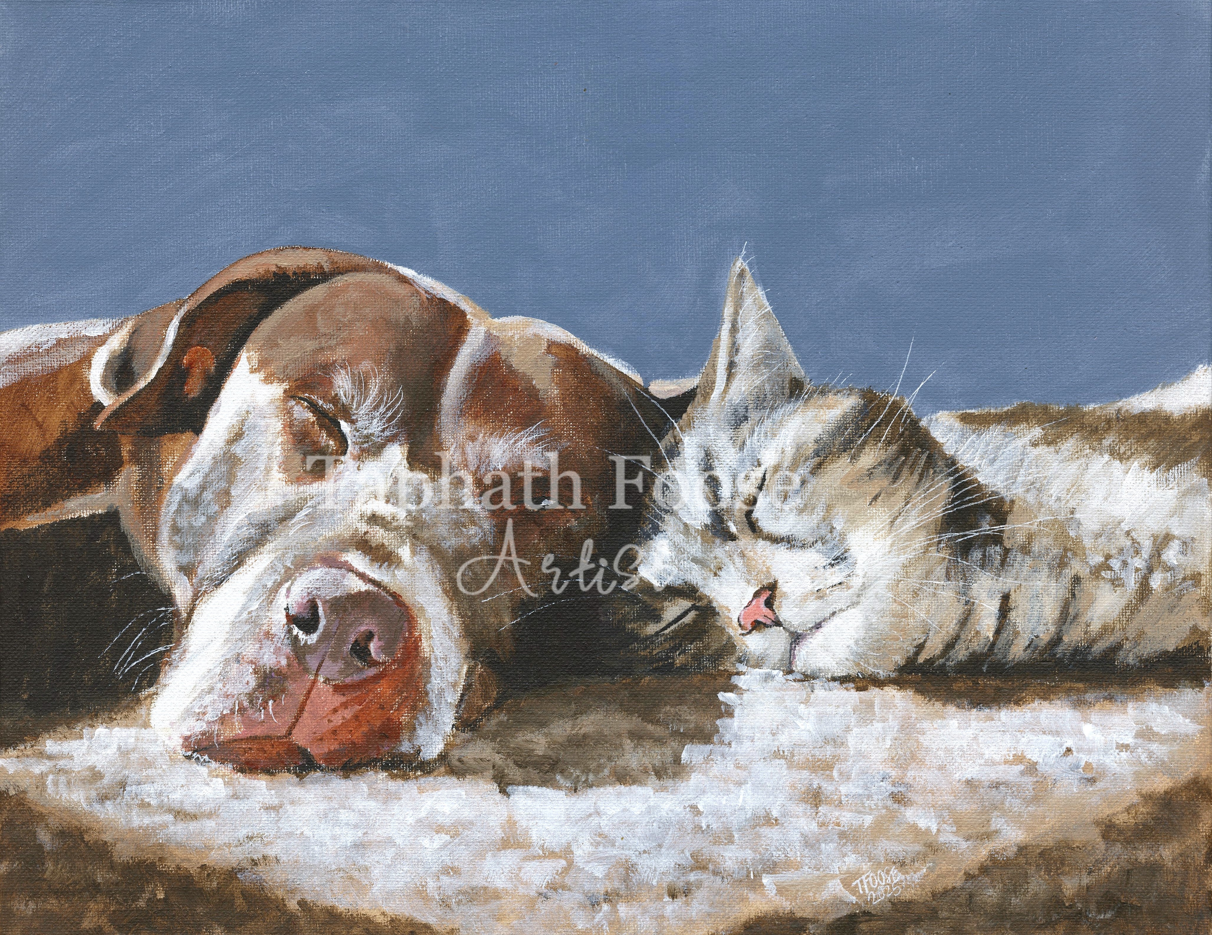 Snuggle Buddies - Image 1