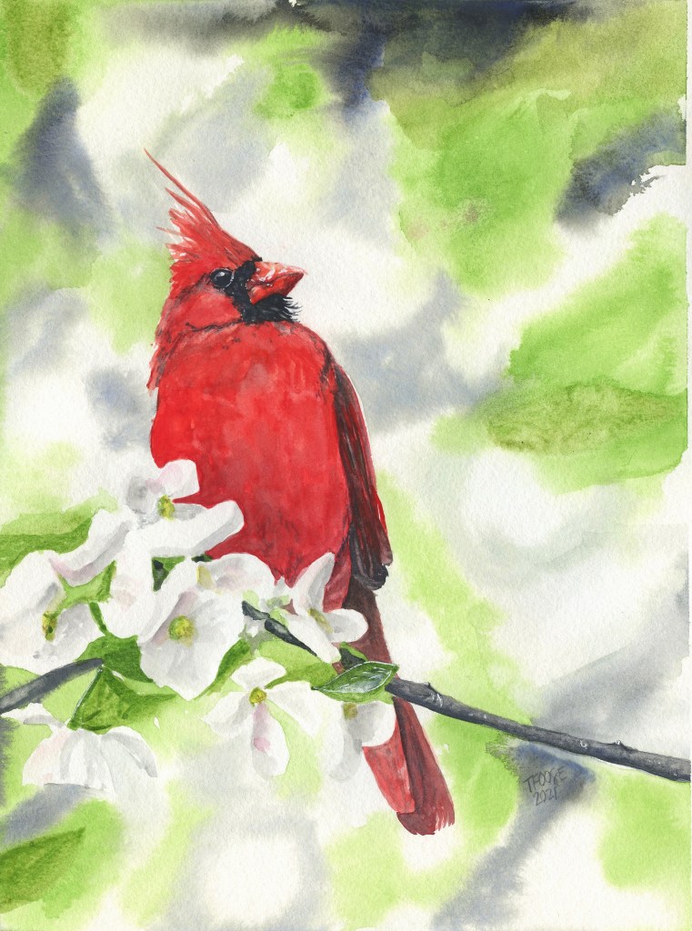 Springtime Cardinal