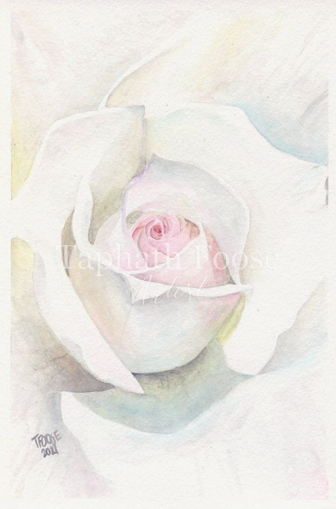 White Tea Rose