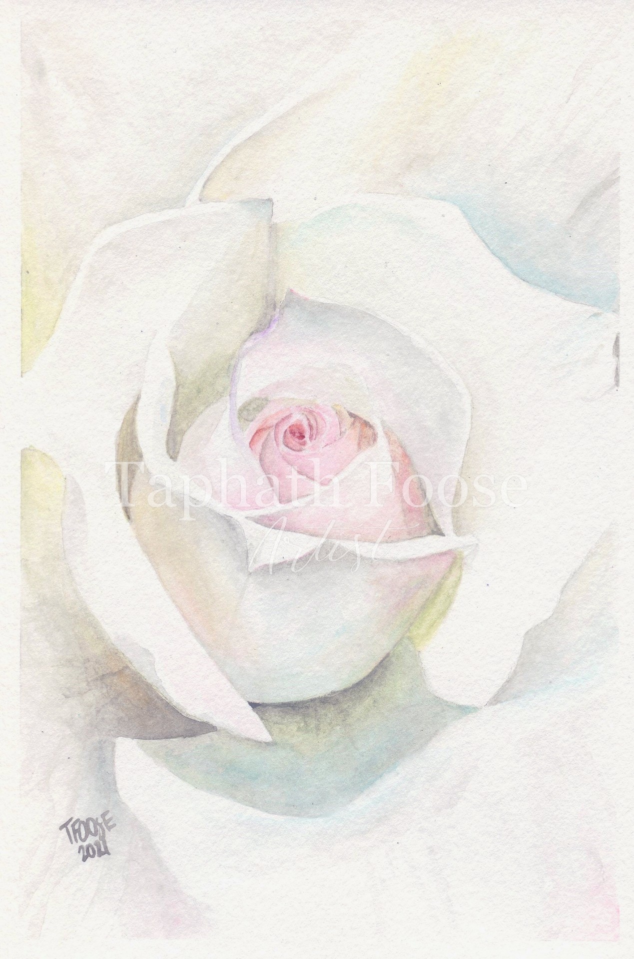 White Tea Rose - Image 1