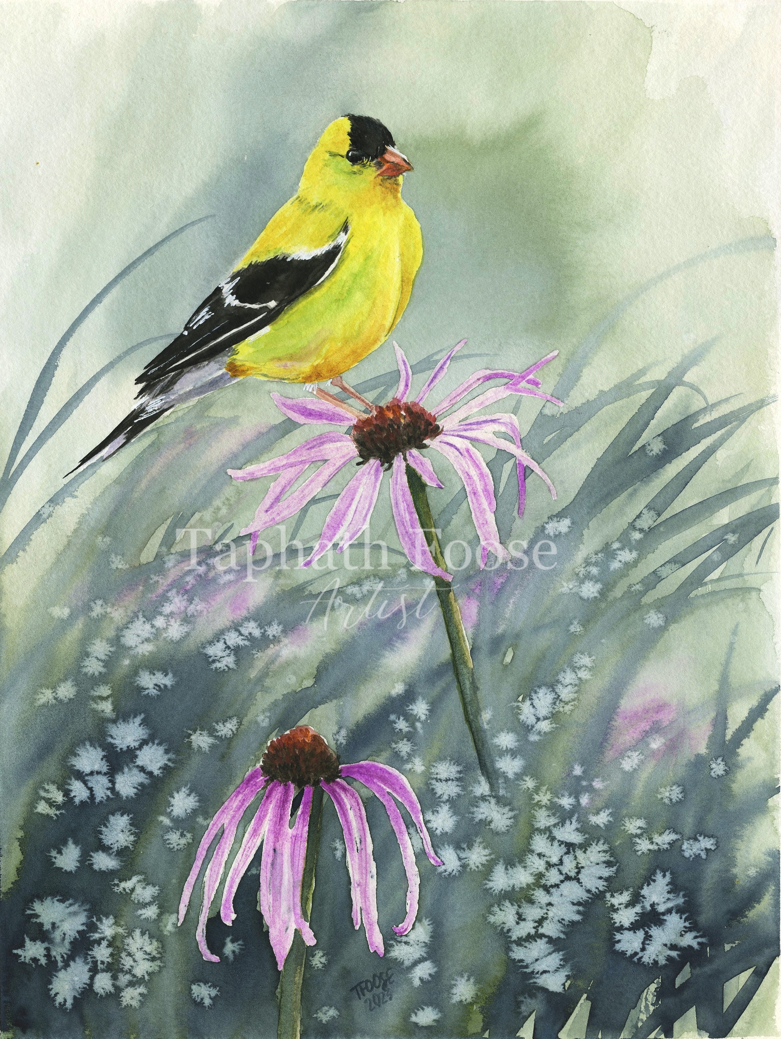 Yellow Finch on Coneflowers - Image 1