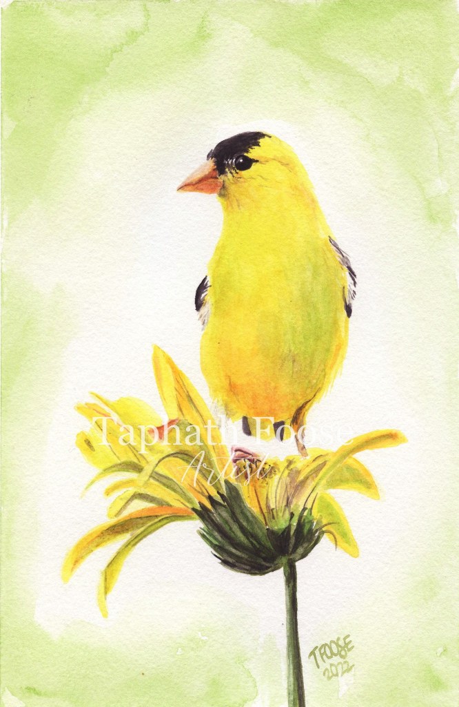 Yellow on Yellow
