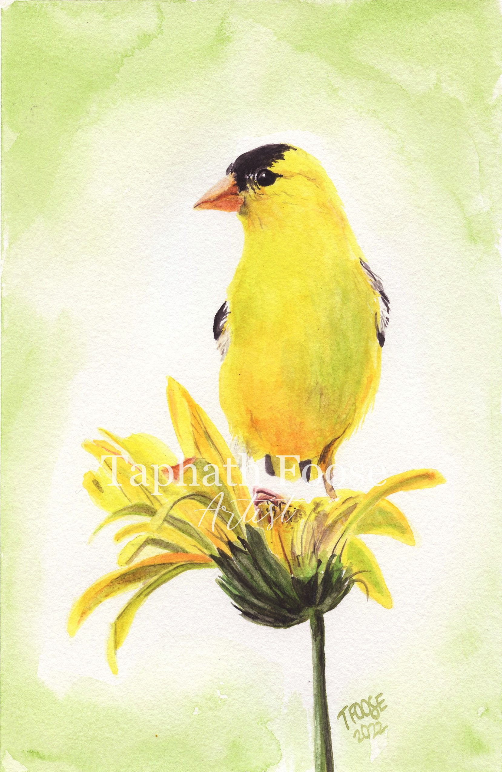 Yellow on Yellow - Image 1