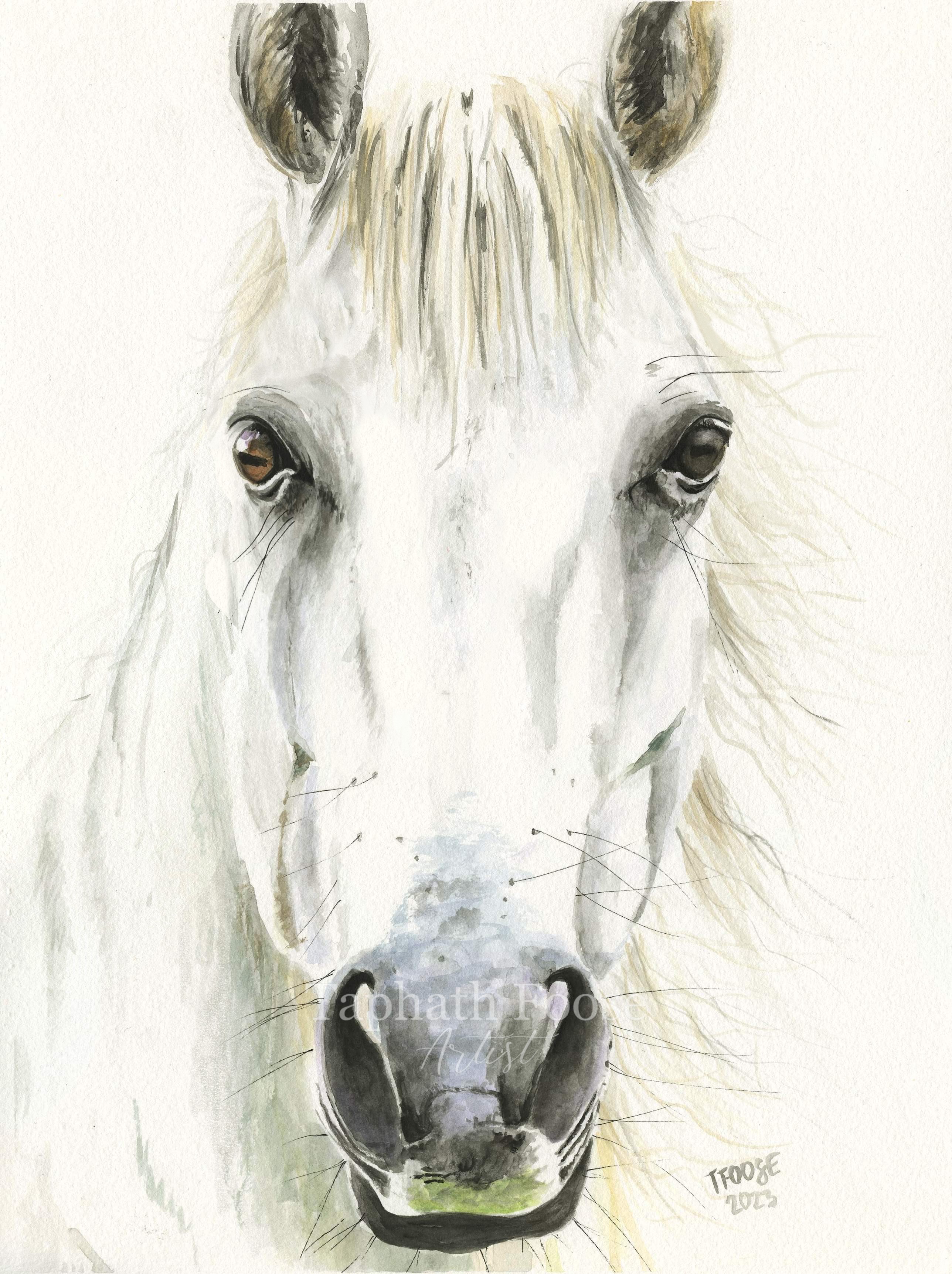 White Horse Portrait - Image 1