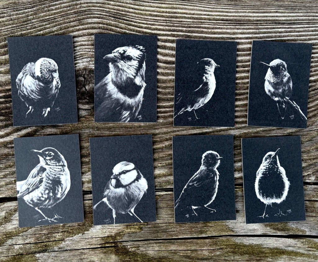 Blue Jay in the Shadow Mini Print