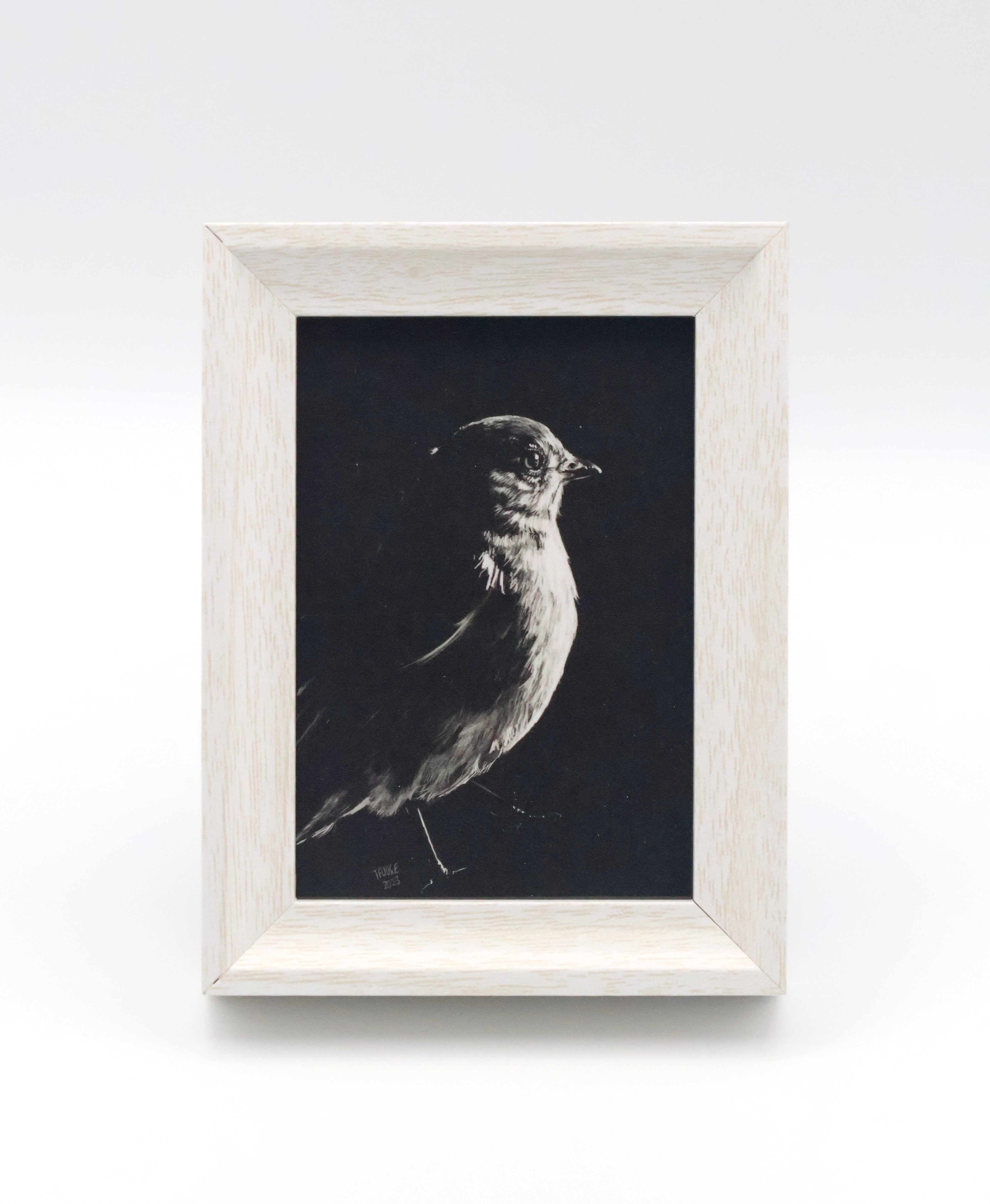 Bluebird in the Shadow Mini Print - Image 1