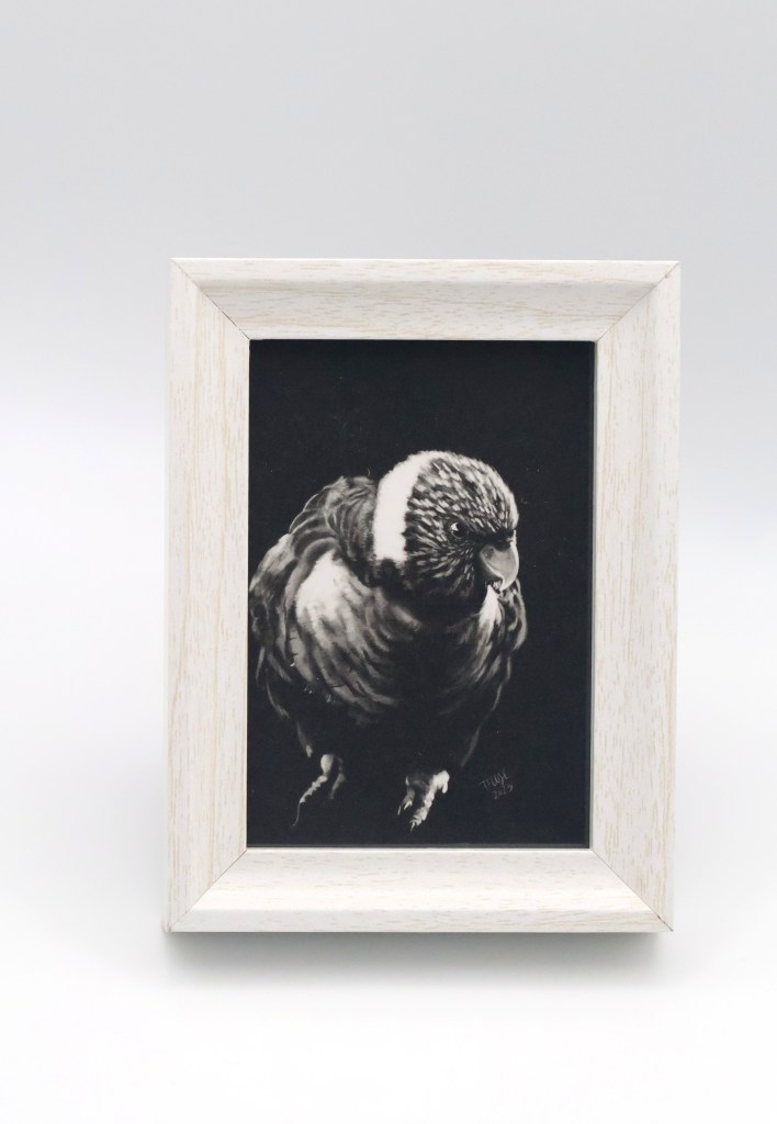 Rainbow Lory in the Shadow Mini Print