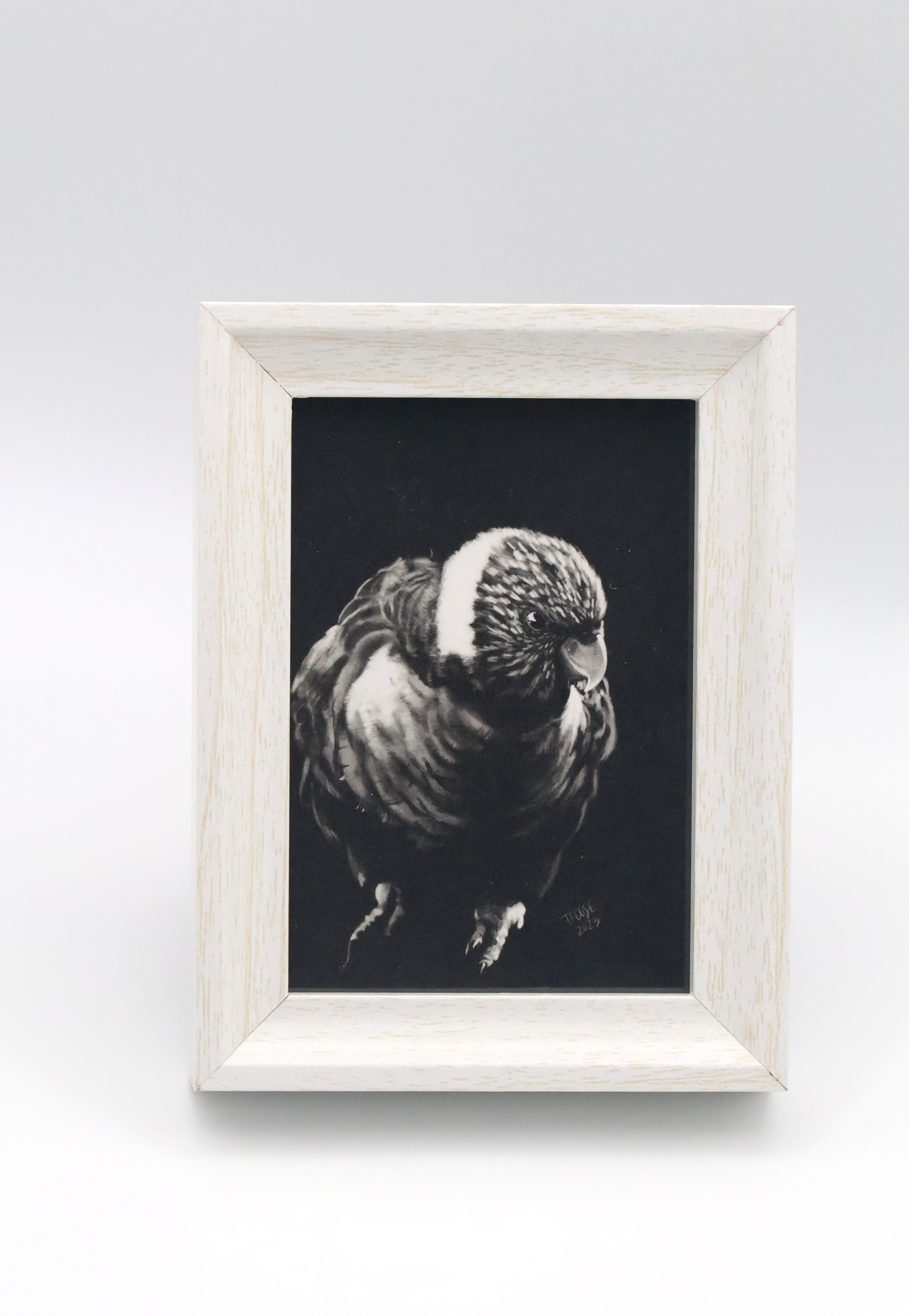 Rainbow Lory in the Shadow Mini Print - Image 1