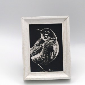 Robin in the Shadow Mini Print - Image 1