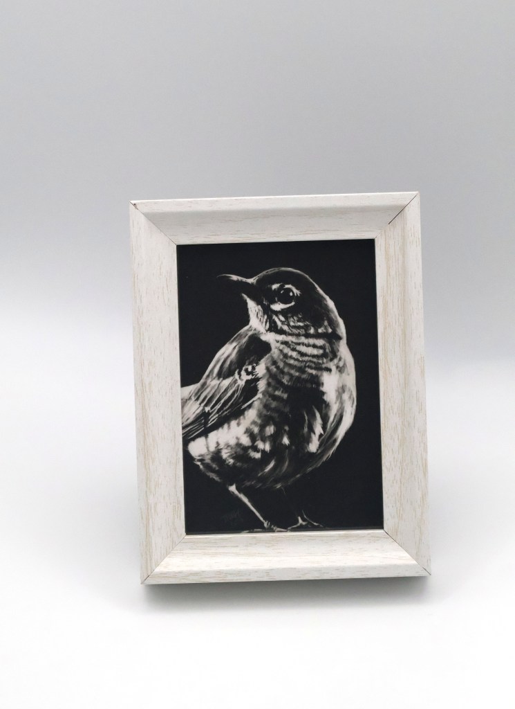 Robin in the Shadow Mini Print
