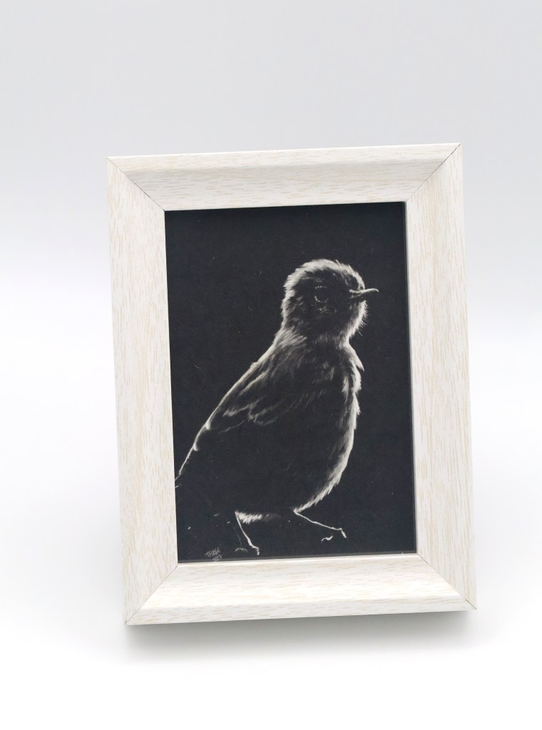Greenbul in the Shadow Mini Print