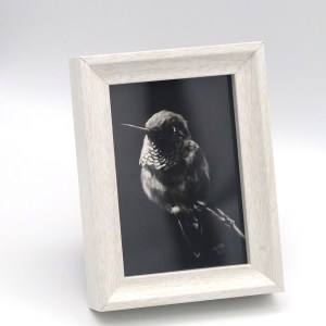 Hummingbird in the Shadow Mini Print - Image 1