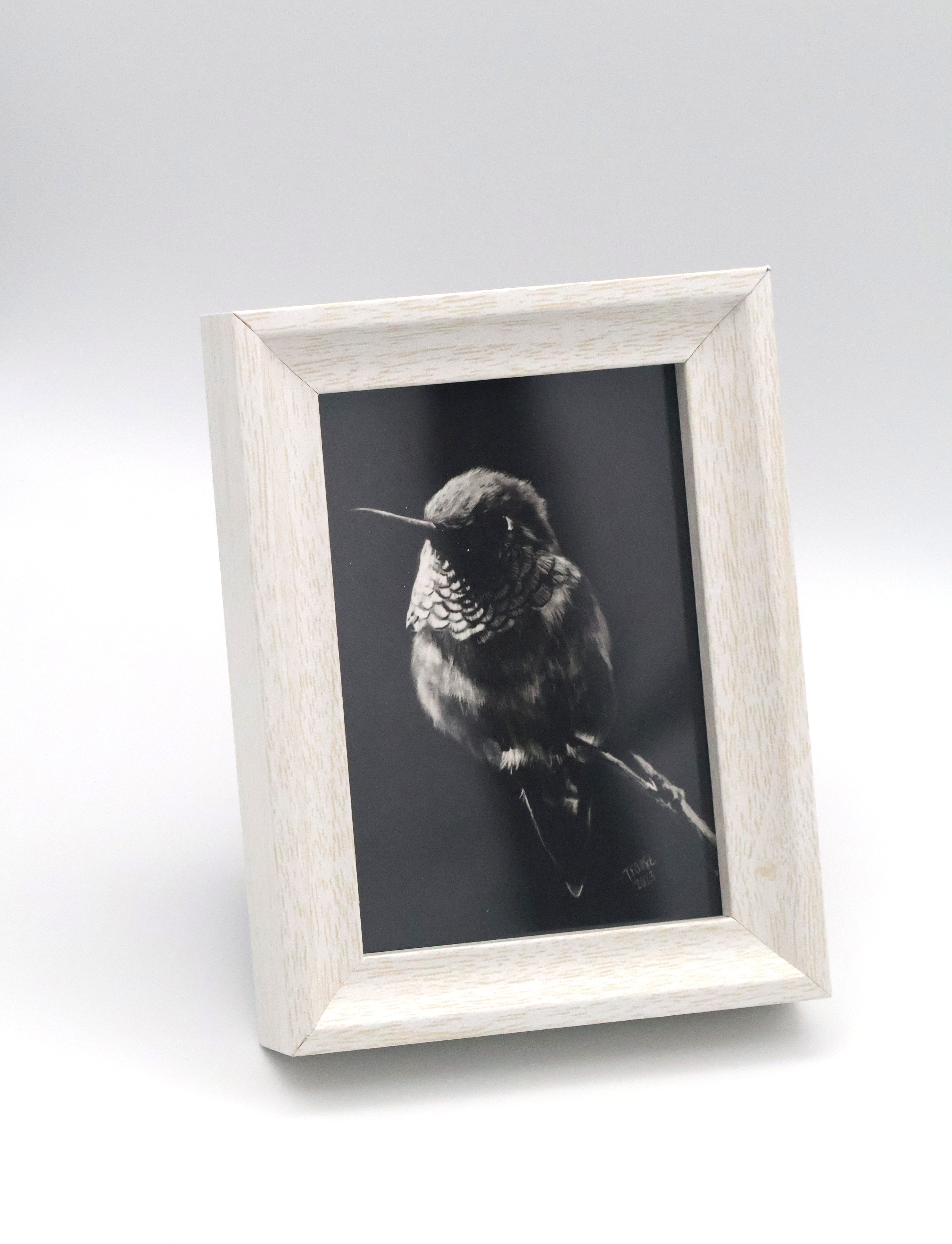 Hummingbird in the Shadow Mini Print - Image 1