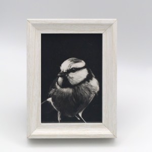 Yellow-breasted Titmouse in the Shadow Mini Print - Image 1