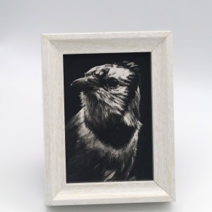 Blue Jay in the Shadow Mini Print - Image 1