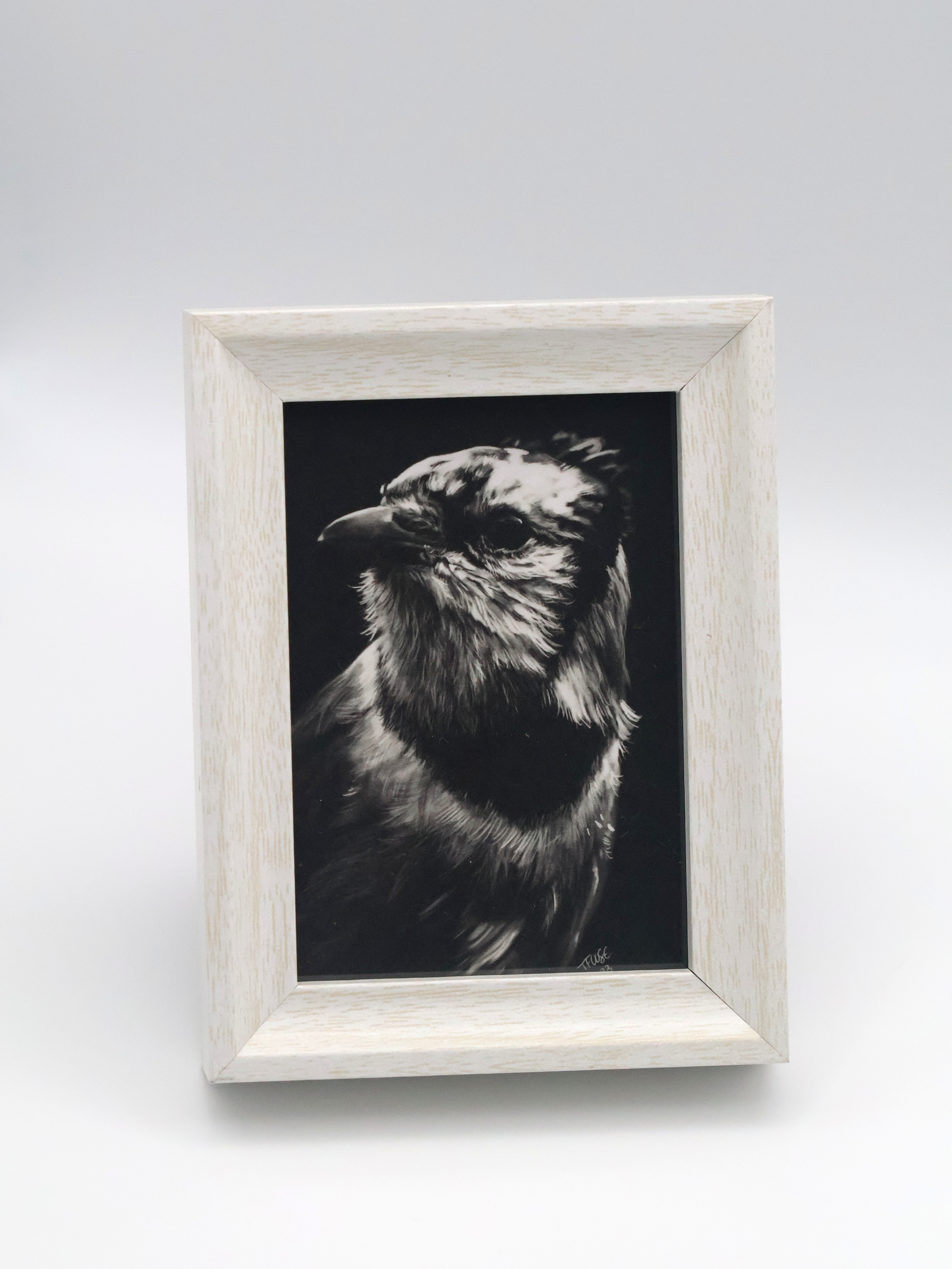 Blue Jay in the Shadow Mini Print - Image 1