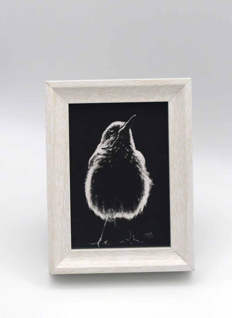 Wren in the Shadow Mini Print