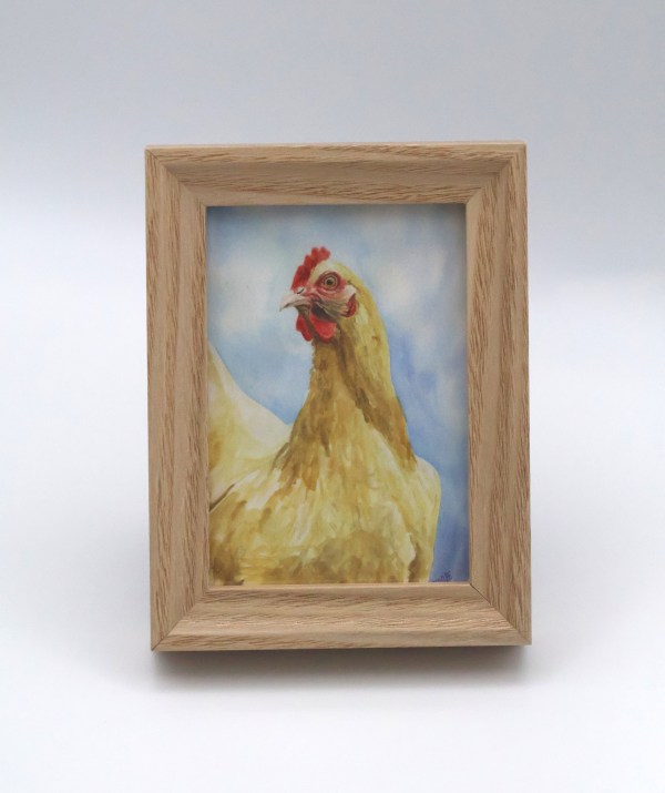 Buff Orpington Blue Mini Print