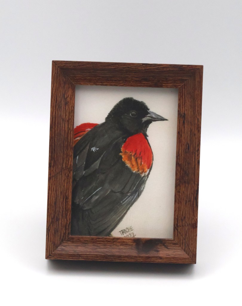 Red-winged Blackbird Mini Print