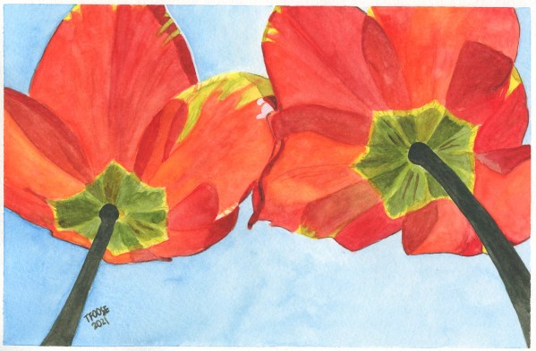 Standing Together - Tulips Greeting Card