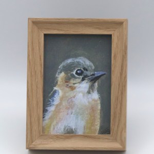 Female Bluebird Mini Print