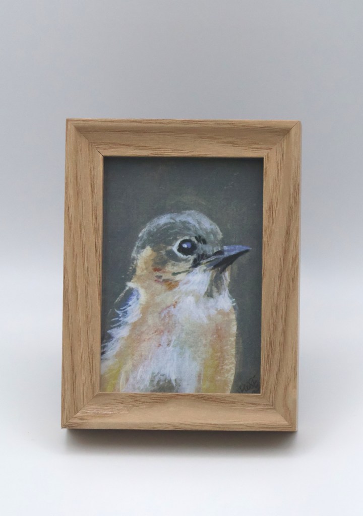 Female Bluebird Mini Print